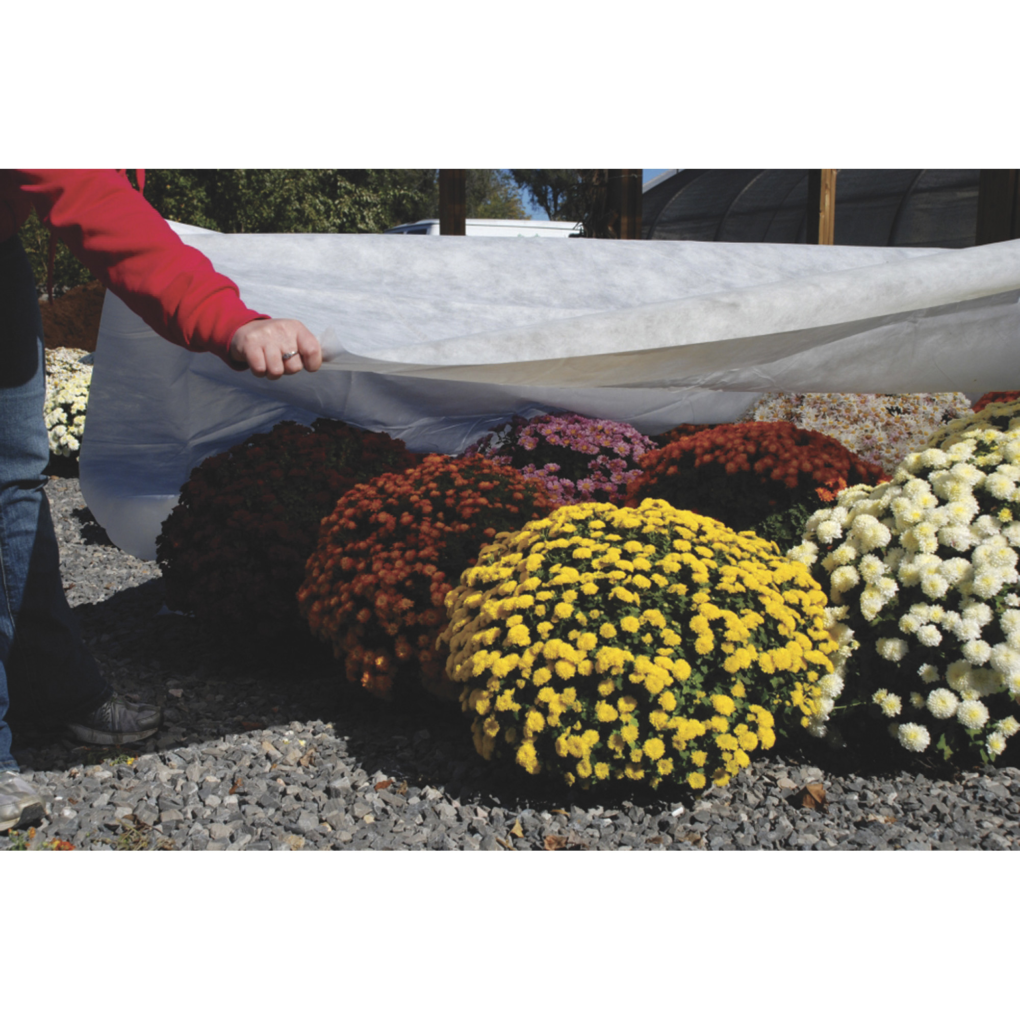 DeWitt N'Sulate Ground Cover Fabric, 12ft. x 250ft. Roll, Model# NS12250